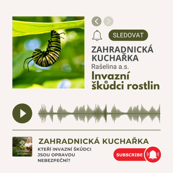 Zahradnicka kuchaka 5