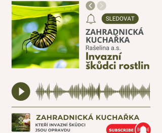 Zahradnicka kuchaka 6